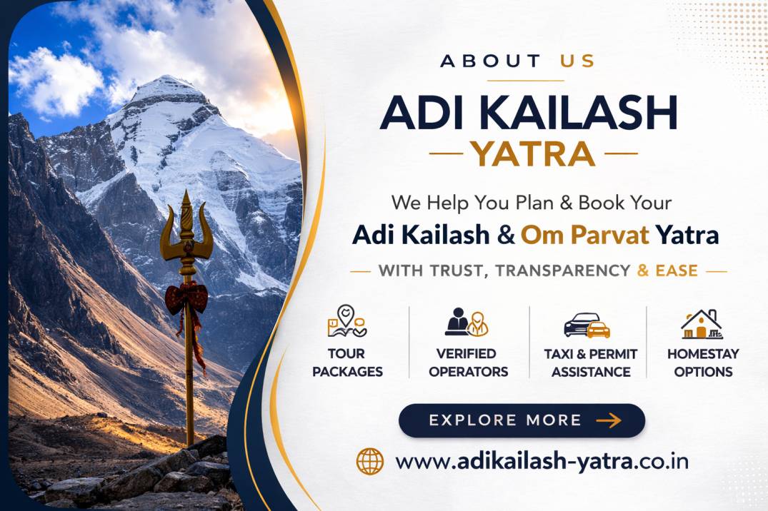 About Travel Company